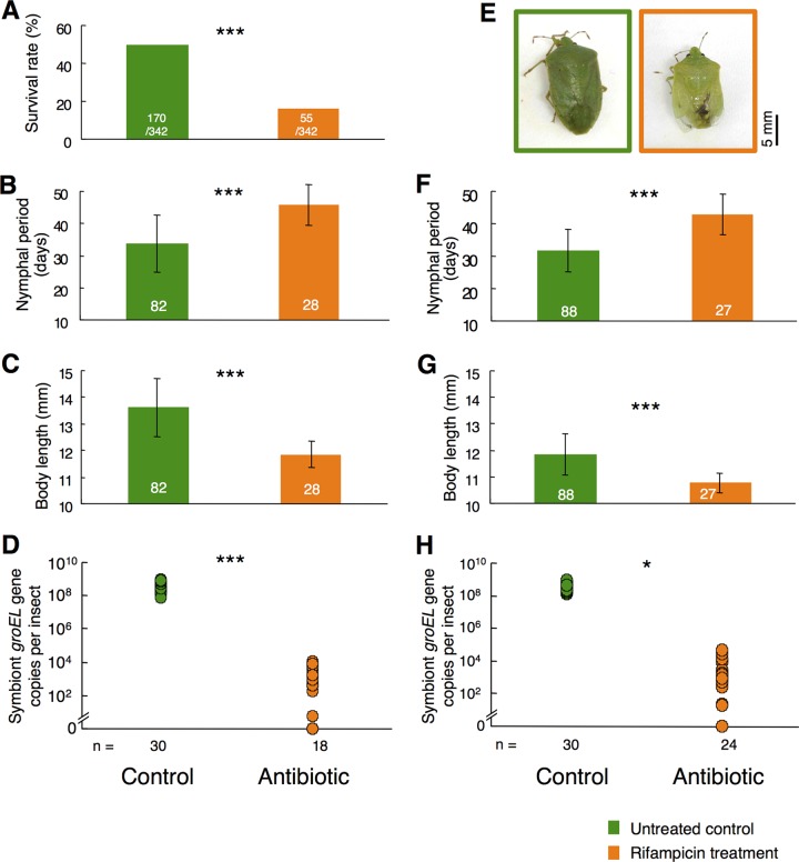 FIG 4 