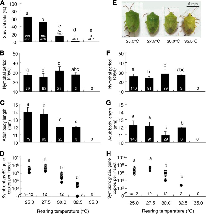 FIG 3 