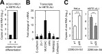 FIG 5