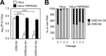 FIG 1