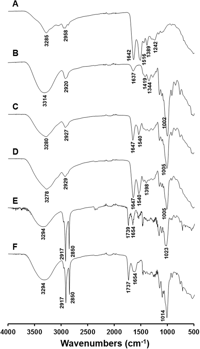 Figure 8