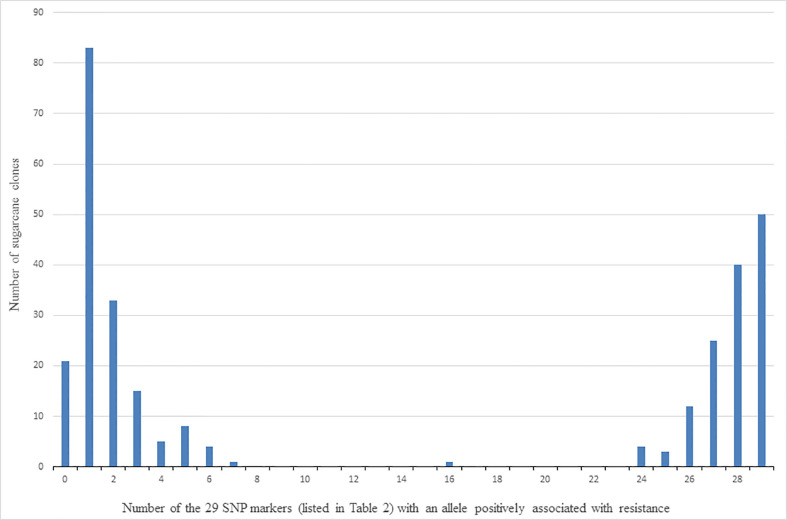 Figure 6