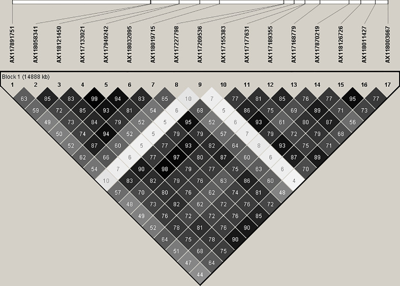 Figure 4