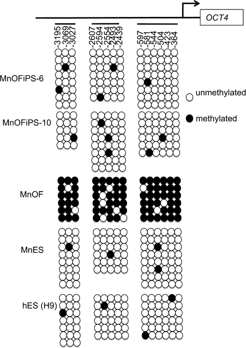 FIG. 4.