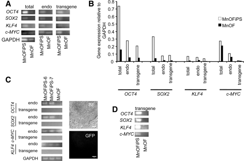 FIG. 3.