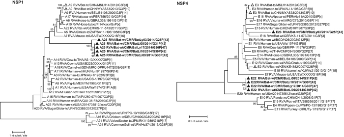 Figure 5