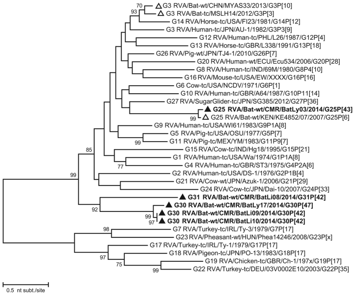 Figure 2