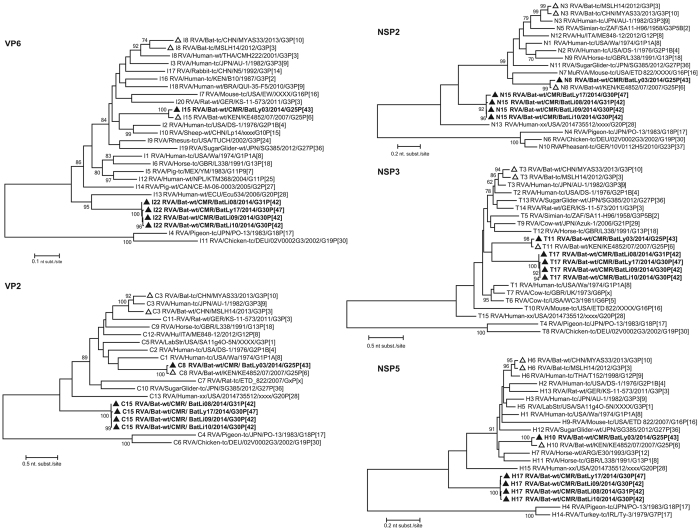 Figure 4