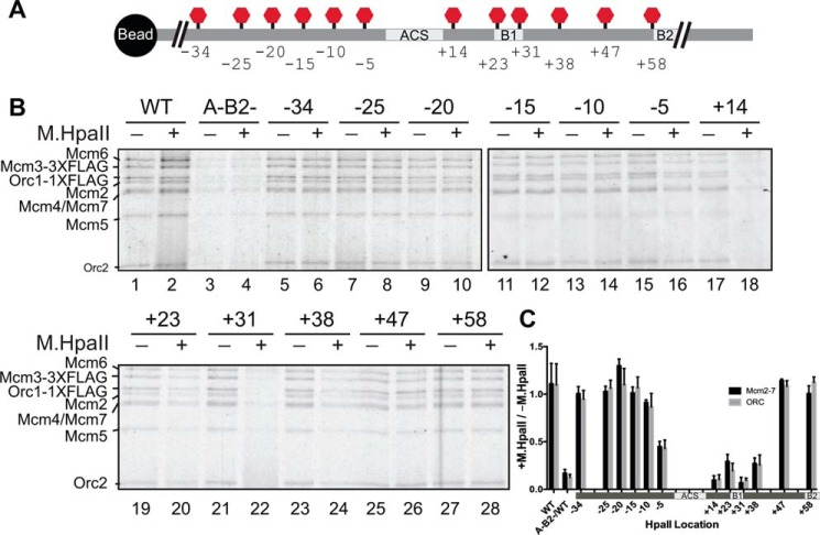 Figure 2.