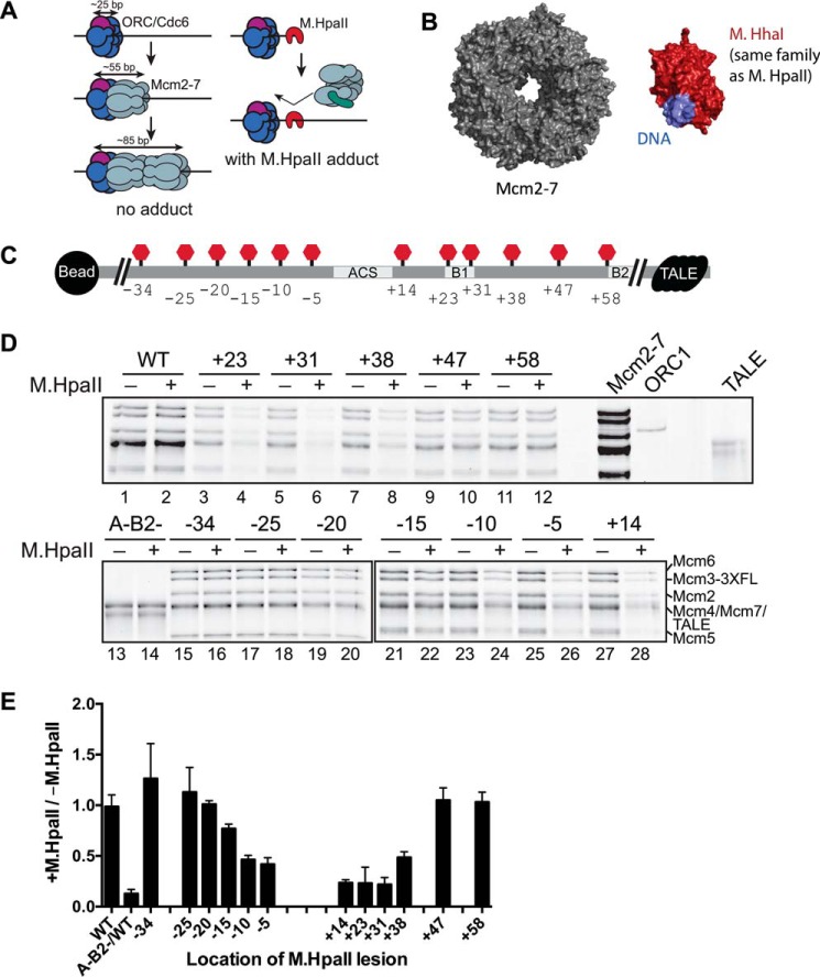 Figure 1.