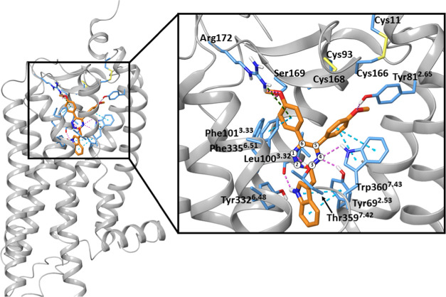 Figure 5