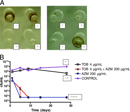 FIG. 1.