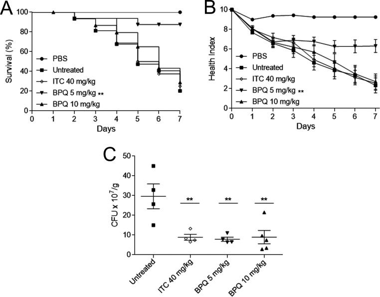 FIG 4