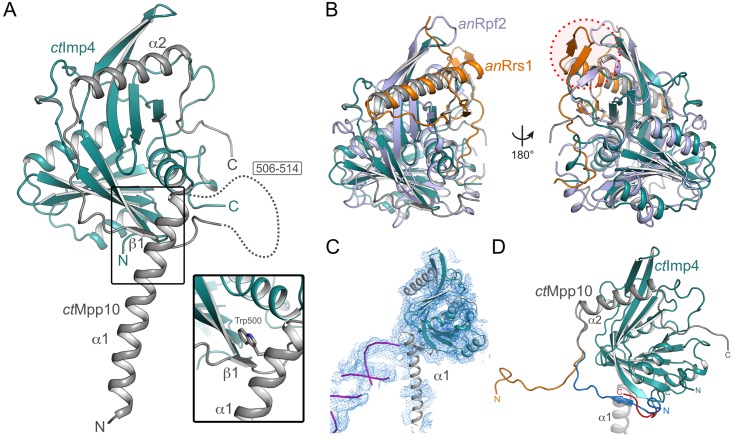 Fig 4