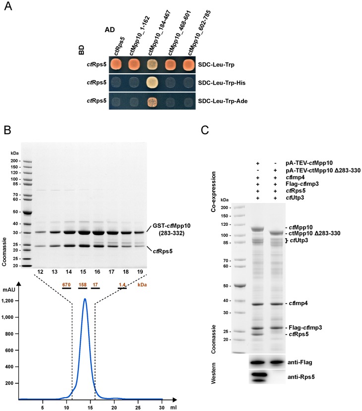 Fig 3