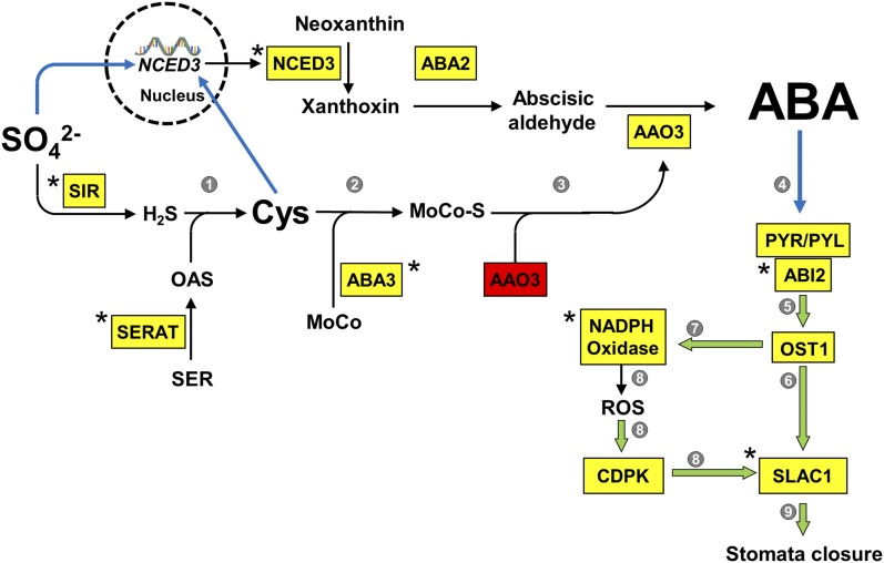 Figure 9.