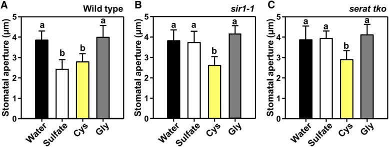 Figure 6.