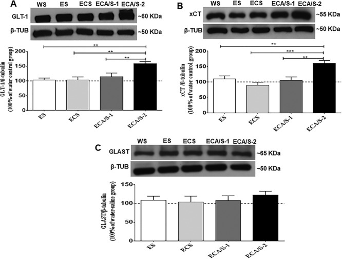 Fig 4.