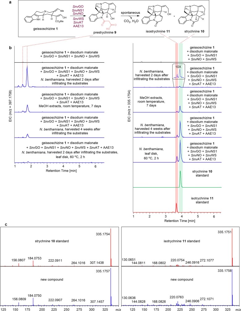 Extended Data Fig. 6