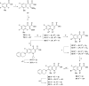 Scheme 4