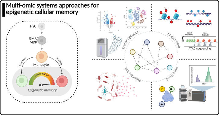 Schematic depicts multi-omic approaches for studying epigenetic cellular memory including transcriptome, epigenome, proteome and microbiome layers with sequencing, profiling and data integration around monocyte-derived inflammatory responses.