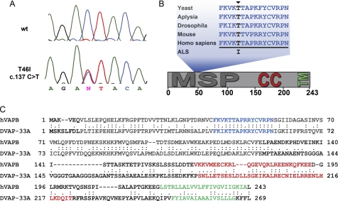 FIGURE 1.