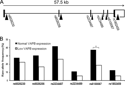 FIGURE 10.