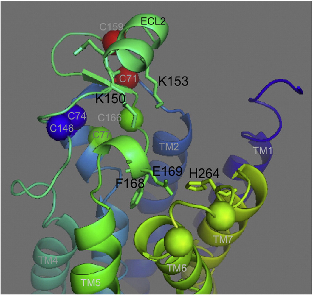 Fig. 8