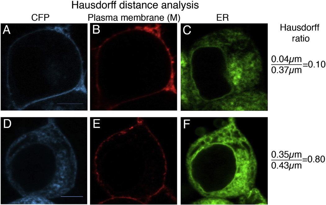 Fig. 4