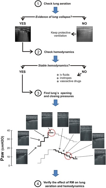 Fig. 1