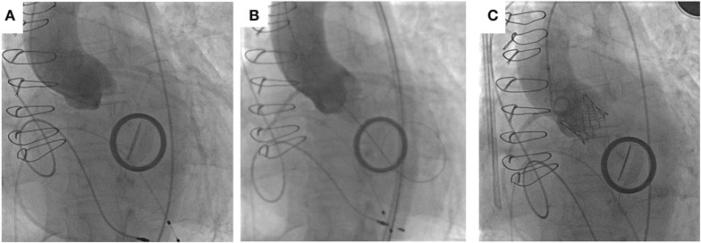 Figure 6