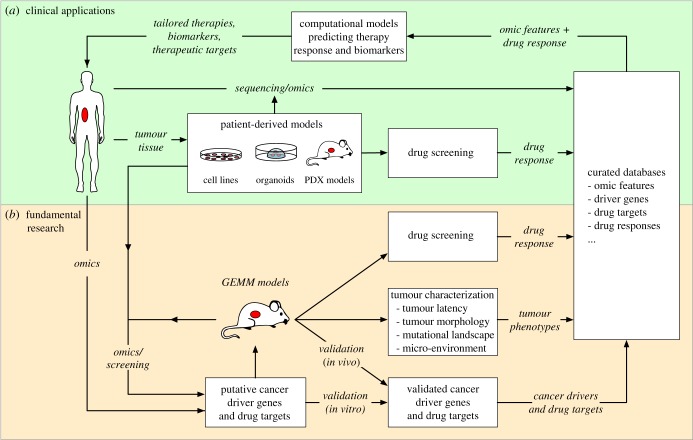 Figure 6.