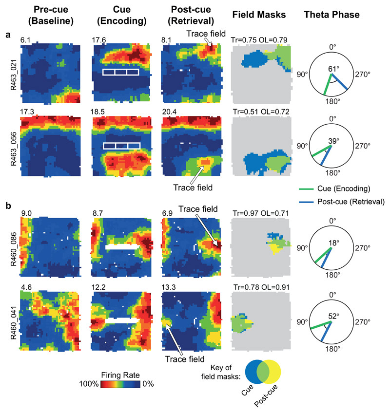 Extended Data Fig. 9