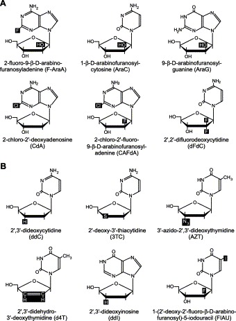 Fig. 7