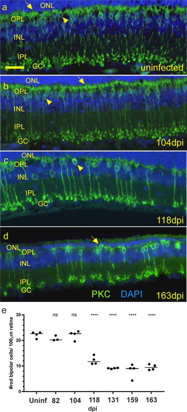 Fig. 10