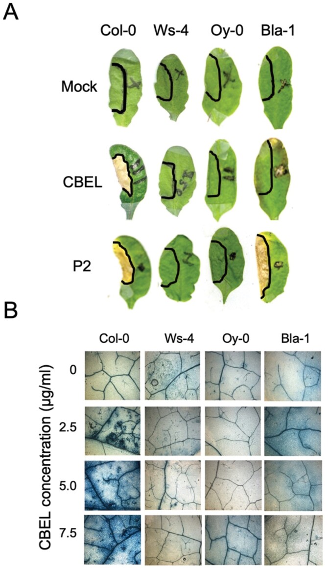 Figure 3: