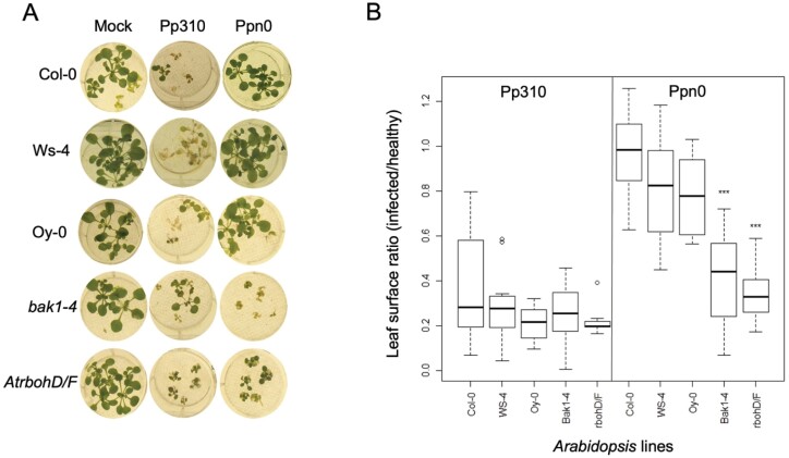 Figure 7: