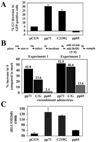 FIG. 7.