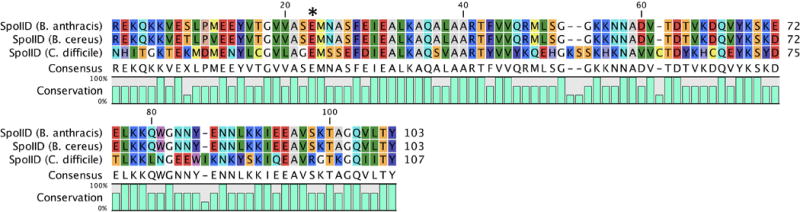 Figure 17