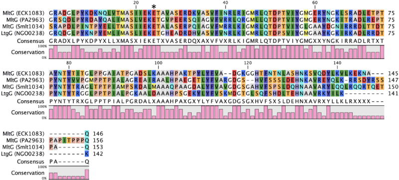 Figure 12