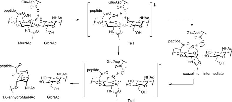 Figure 19