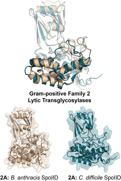 Figure 18