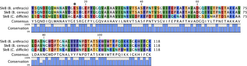 Figure 16