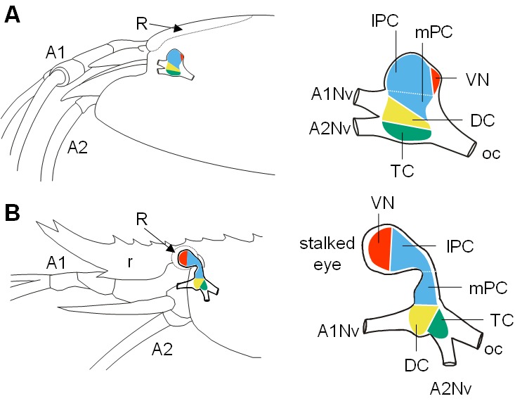 Figure 2.