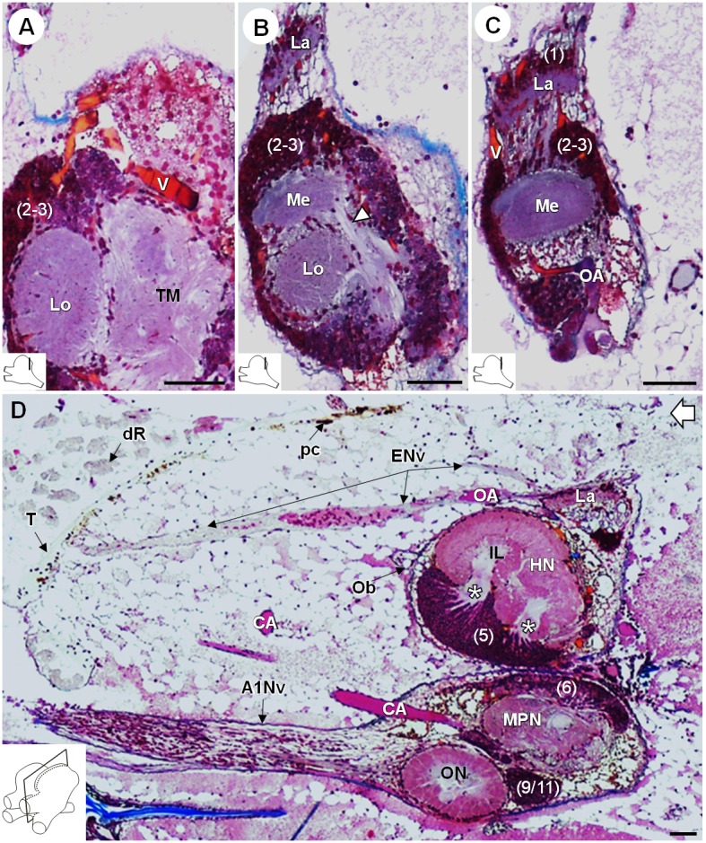 Figure 5.