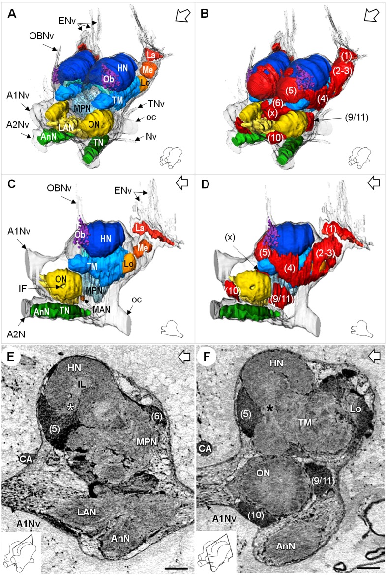 Figure 4.