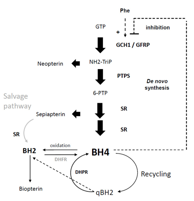 Fig. (3)