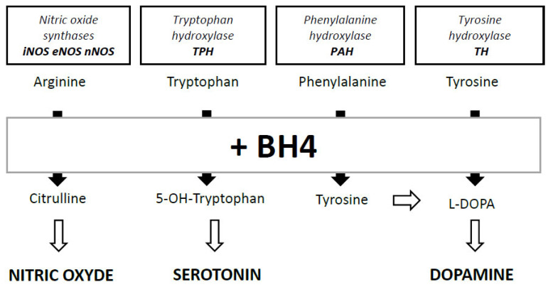 Fig. (2)