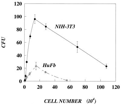 FIG. 6