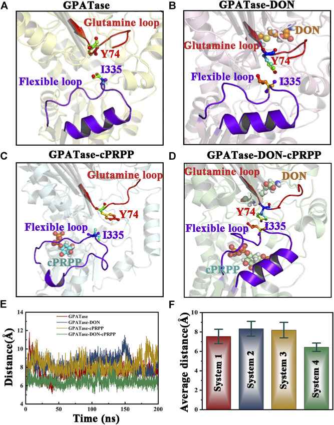 FIGURE 11